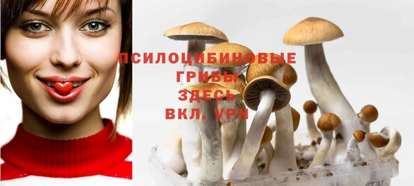 стафф Верхнеуральск