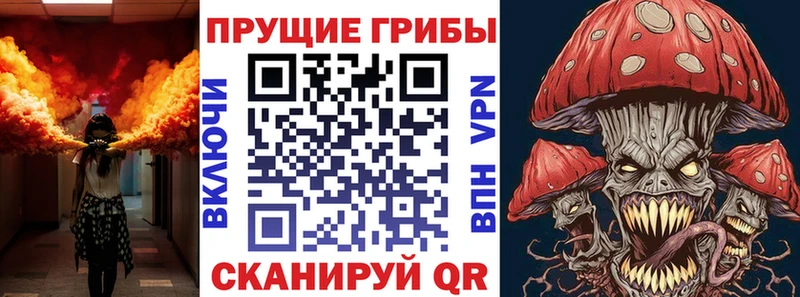 наркошоп  Павловск  Псилоцибиновые грибы Magic Shrooms 